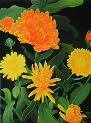 Yellow and Orange Flowers