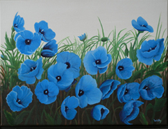 Blue Poppies