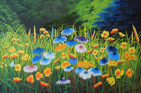 Colorful Wildflowers