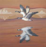 Canadian Geese