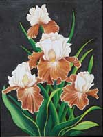 Irises
