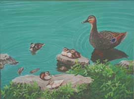 Ducks in a Pond