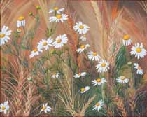 Wildflowers and Weeds