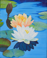Water Lilies