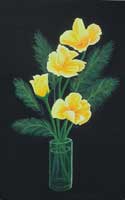 Yellow and White on Black